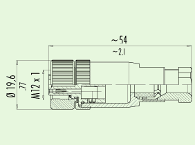 M12ղͷ